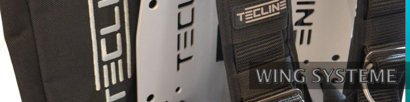 Header-Kategorien-Wing-Systeme
