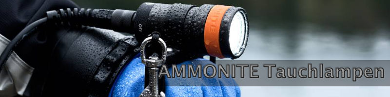 Ammonite-Tauchlampen-Header
